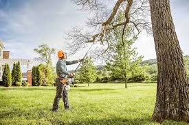 Best Leaf Removal  in Pemberville, OH