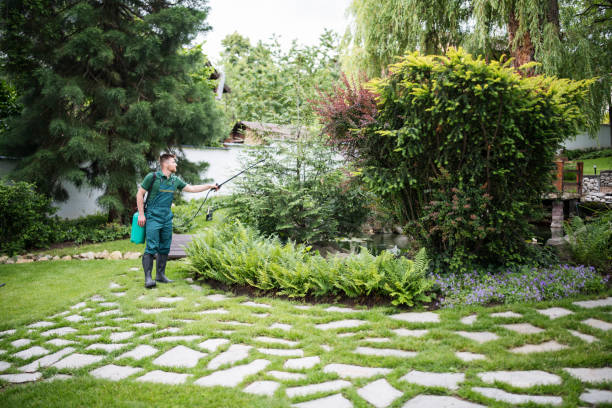 Best Lawn Watering Services  in Pemberville, OH