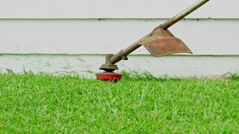 Best Lawn Edging  in Pemberville, OH