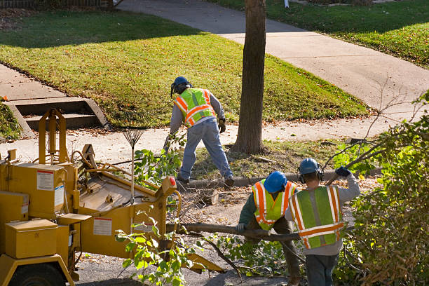 Best Soil Testing and Treatment  in Pemberville, OH