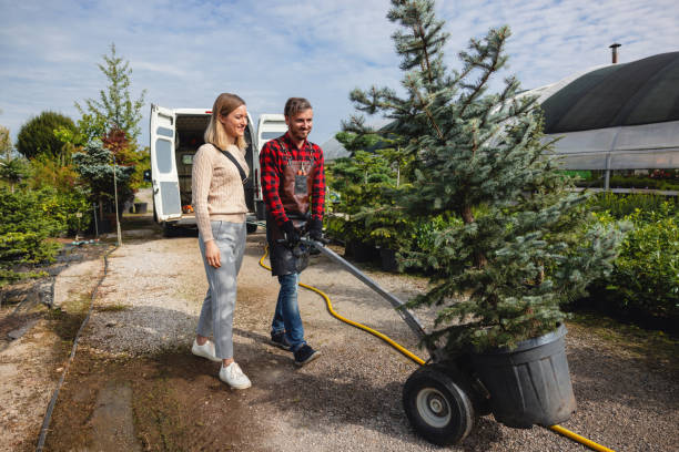 Best Tree Preservation Services  in Pemberville, OH